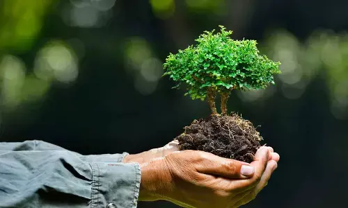 Rethinking environmental education