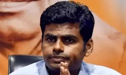 Tamil Nadu BJP chief K Annamalai (File Photo)