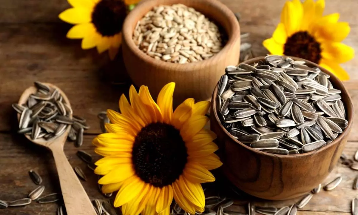 Desire to have long Hair: Include Sun flower Seeds in your Diet