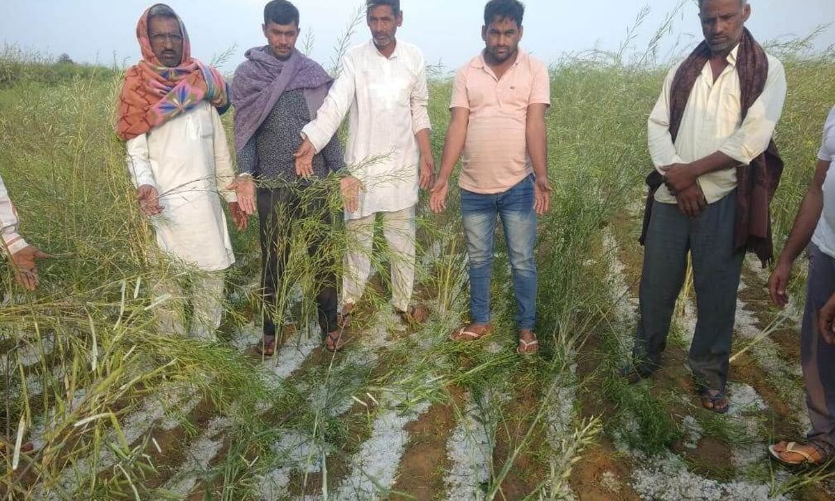 Onset of premonsoon showers may lead to crop damage Met experts