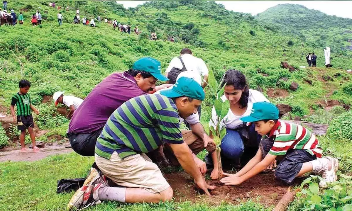 DDA to plant 1 lakh trees at Shastri Park