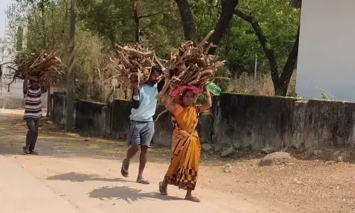 Soaring gas prices: Rural population switching back to firewood