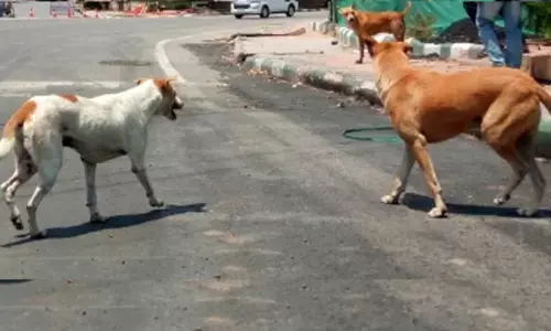 Delhi: My children were innocent, says mother of boys killed in Dog attack