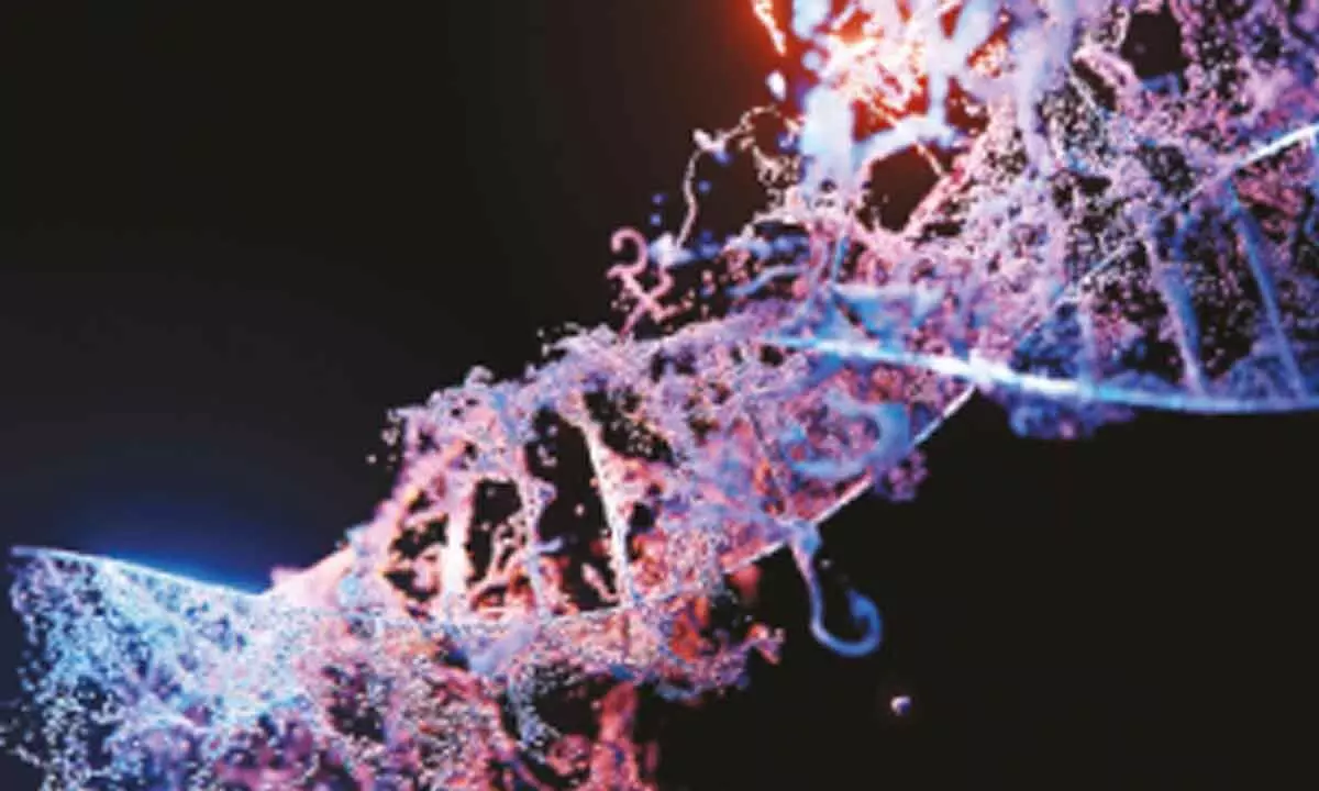 Genome editing becoming a reality