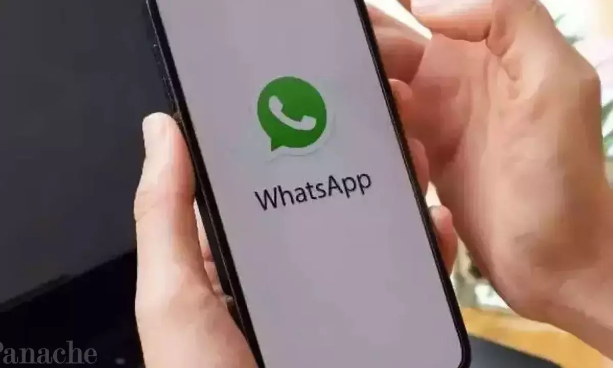 WhatsApp update: To replace phone numbers with usernames in group chat