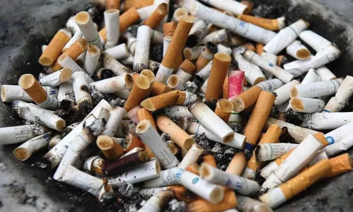 Penalty for cigarette butts in public places, to be decided on Mar 20
