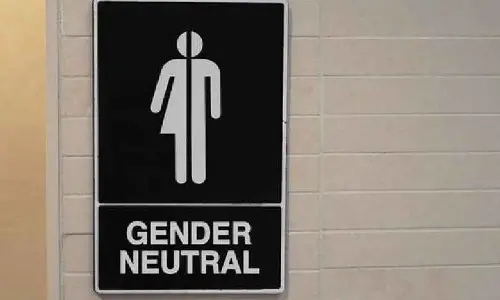 Delhi High Court grants 8 weeks for construction of toilets for transgenders