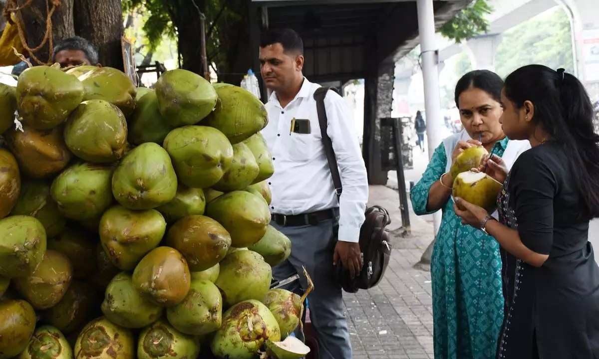 Hyderabad: City sees sharp spike in coconut water demand