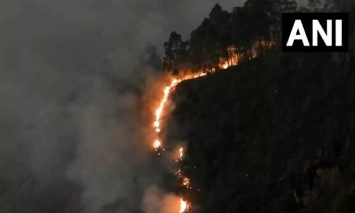 Fire Broke Out In Forest In Tamil Nadu’s Kodaikanal