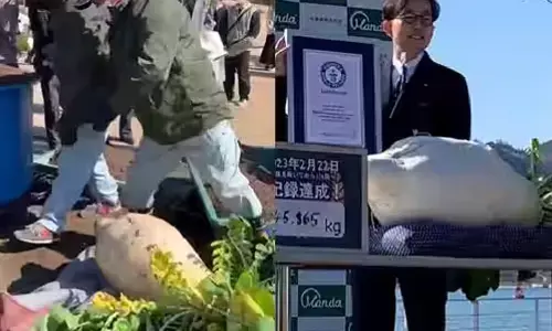 Company From Japan Achieved Guinness World Records For Growing Heaviest Radish