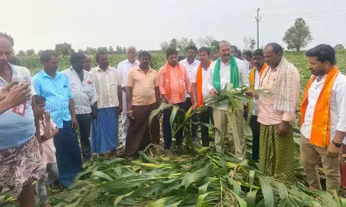 Kishan Morcha seeks `50,000 aid per acre