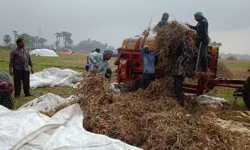 Unseasonal rains cause crop damage