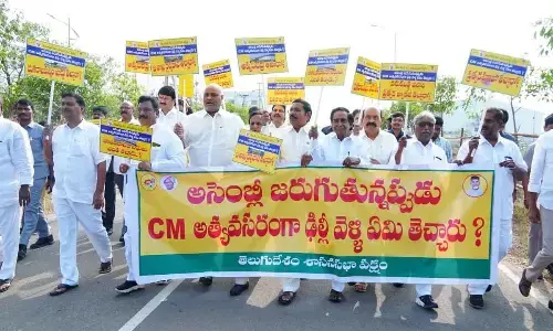 TDP members in council boycott proceedings