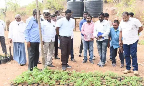 Officials told to meet Haritha Haram targets