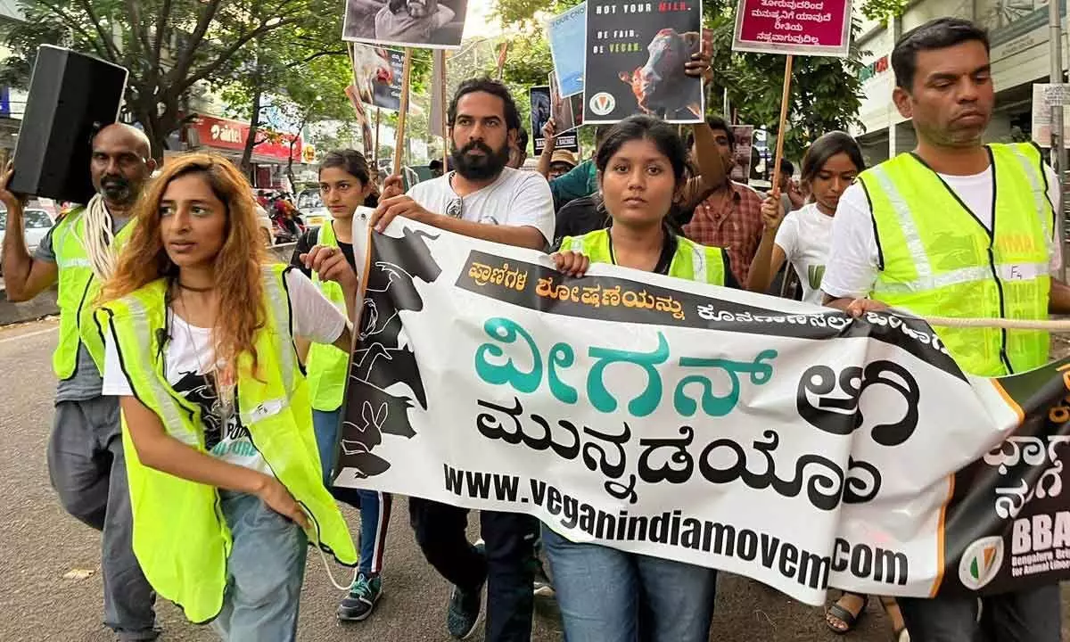 Massive animal rights march floods Bengaluru streets with compassion