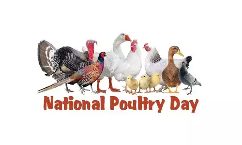 National Poultry Day