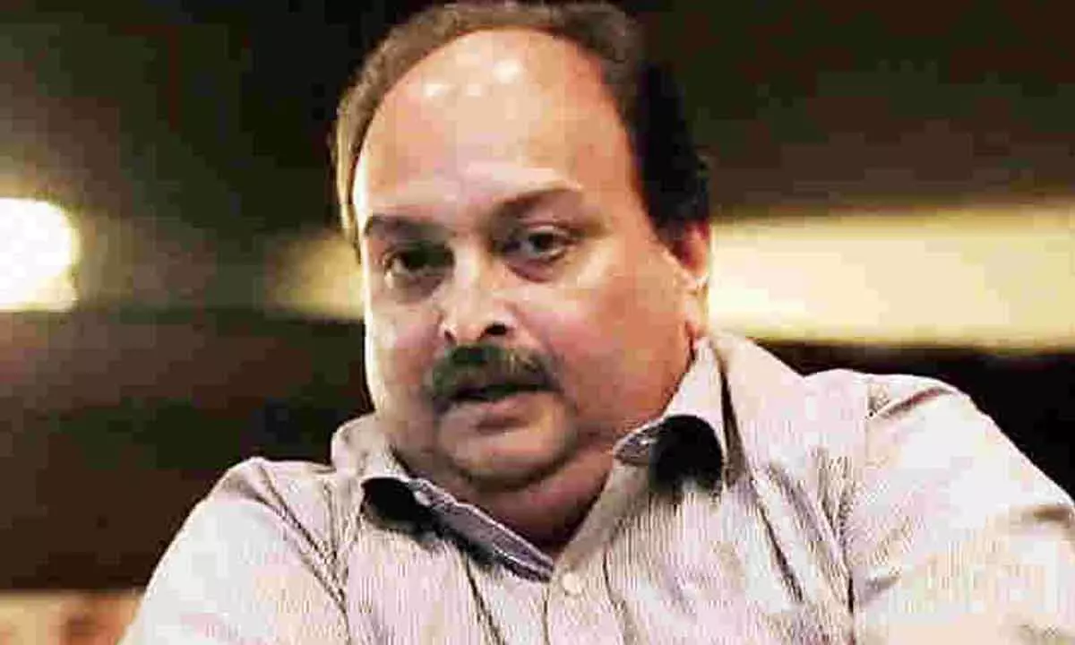 CBI seeks restoration of Red Notice against Choksi