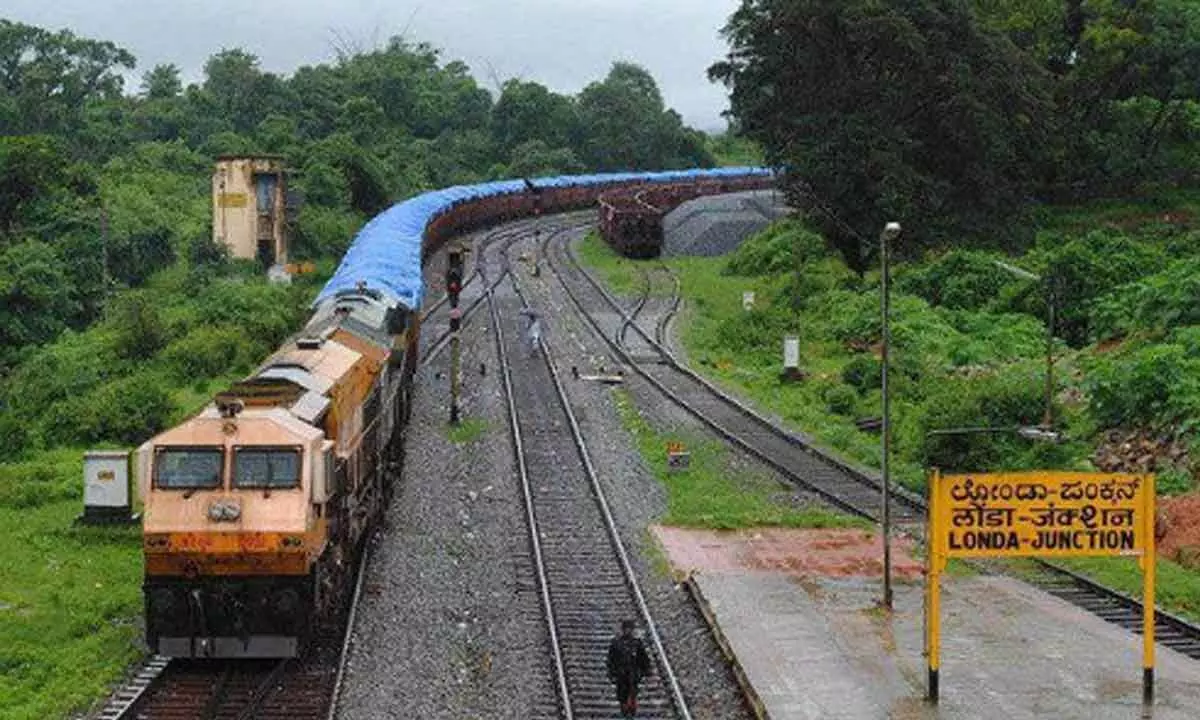 HC seeks response from forest dept on speeding trains in Western Ghats