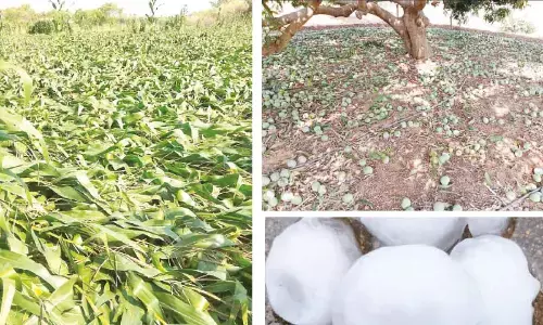 Unseasonal rains leave trail of disaster