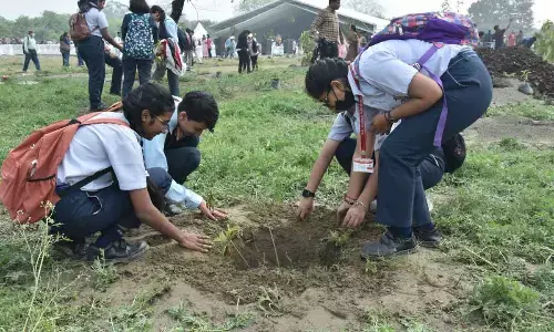 LG Saxena, Bhupender Yadav launch plantation drive