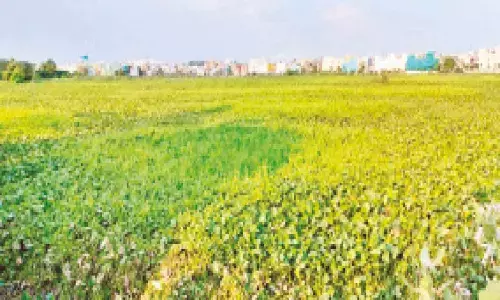 Beda Bandha in Berhampur to be renovated