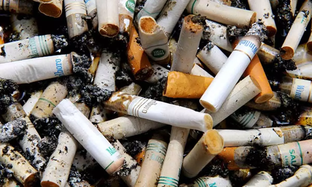 IIT alumnus develops cigarette filter to cut nicotine intake