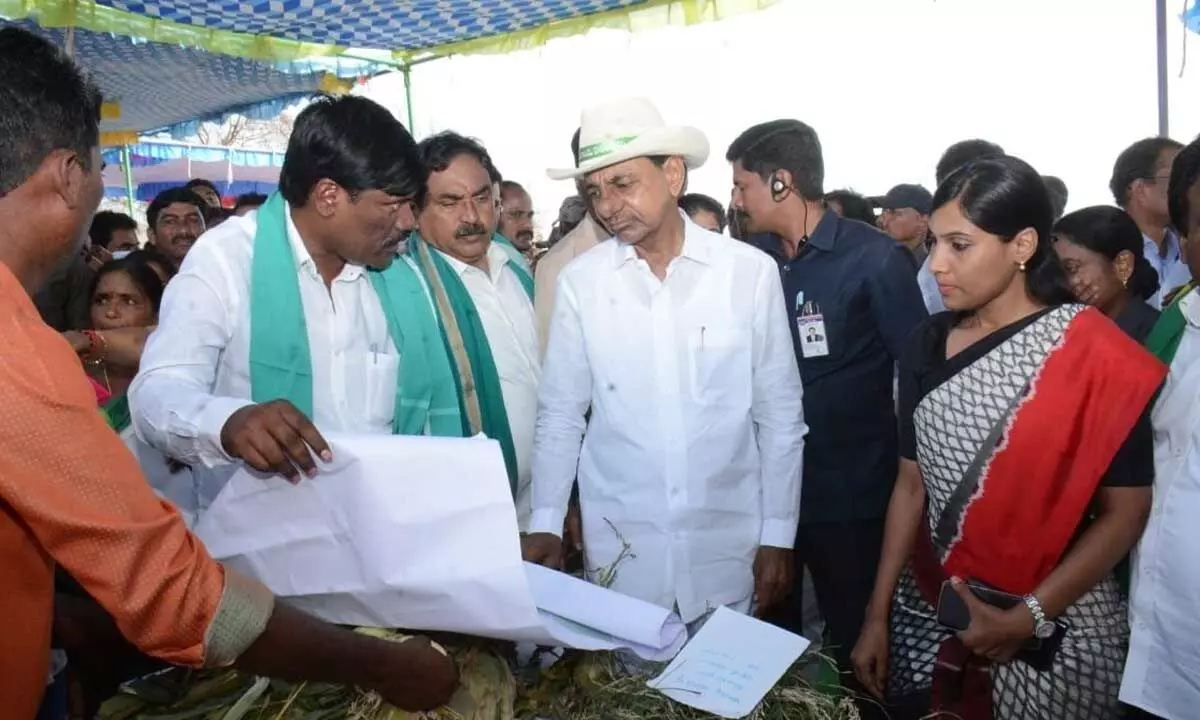 Chief Minister Chandrashekar Rao examining damage to crops due to recent heavy rains in Adavi Rangapur in Duggondi mandal in Warangal district on Thursday