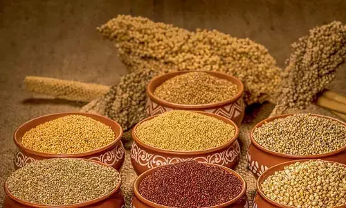 National meet on millets to kickstart today