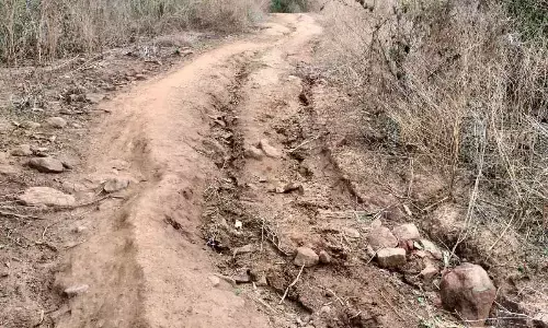 Many habitations in agency have no road facility