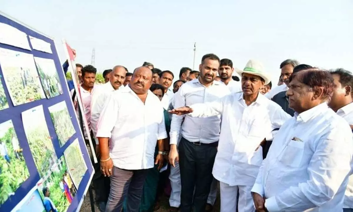 CM KCR inspecting crop loss details in Karimnagar dist on Thursday.