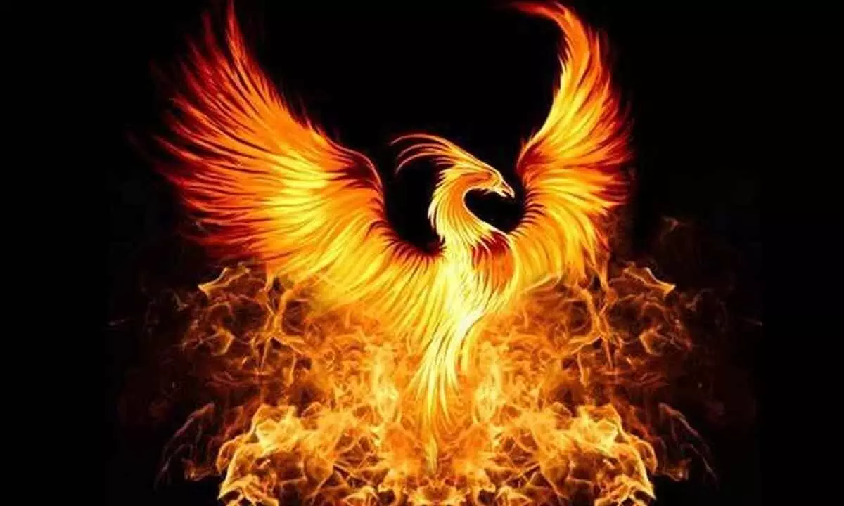 Phoenix, bird reborn from its own ashes.