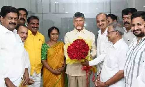 TDP MLC Panchumarthy Anuradha meets Chandrababu, thanks him for opportunity