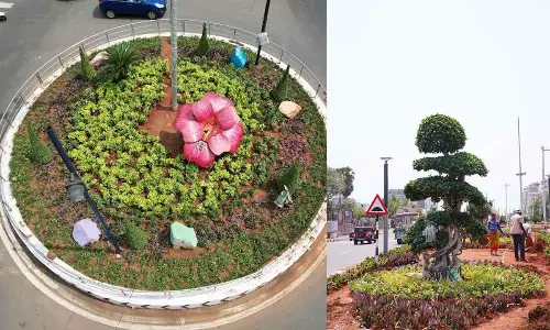 Saplings, flowering plants to represent flags of different countries