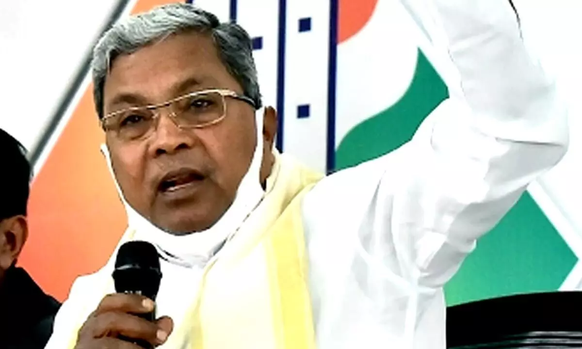 Karnataka Assembly polls fielding Opposition leader Siddaramaiah