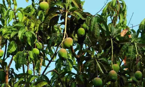 Representational image