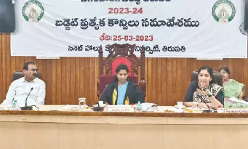 MCT approves `395.81 cr budget