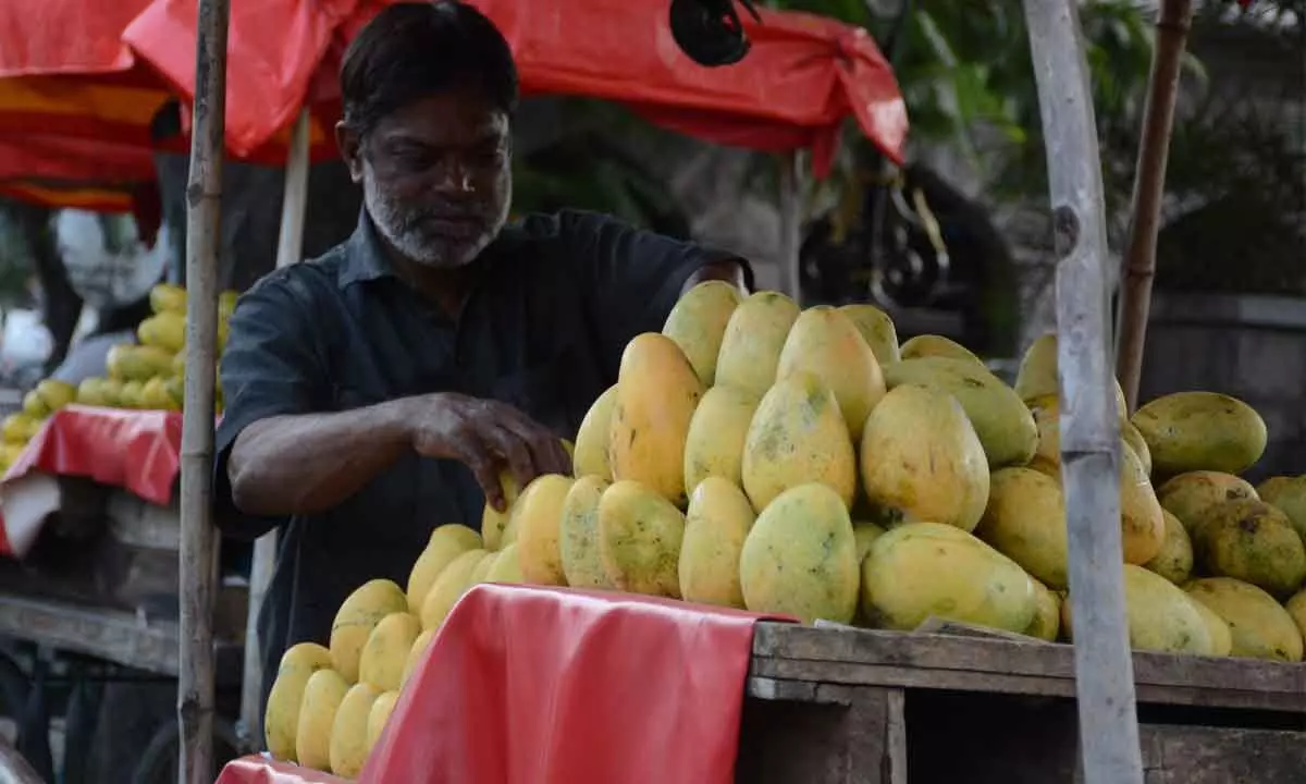 Untimely rains set to spike mango prices
