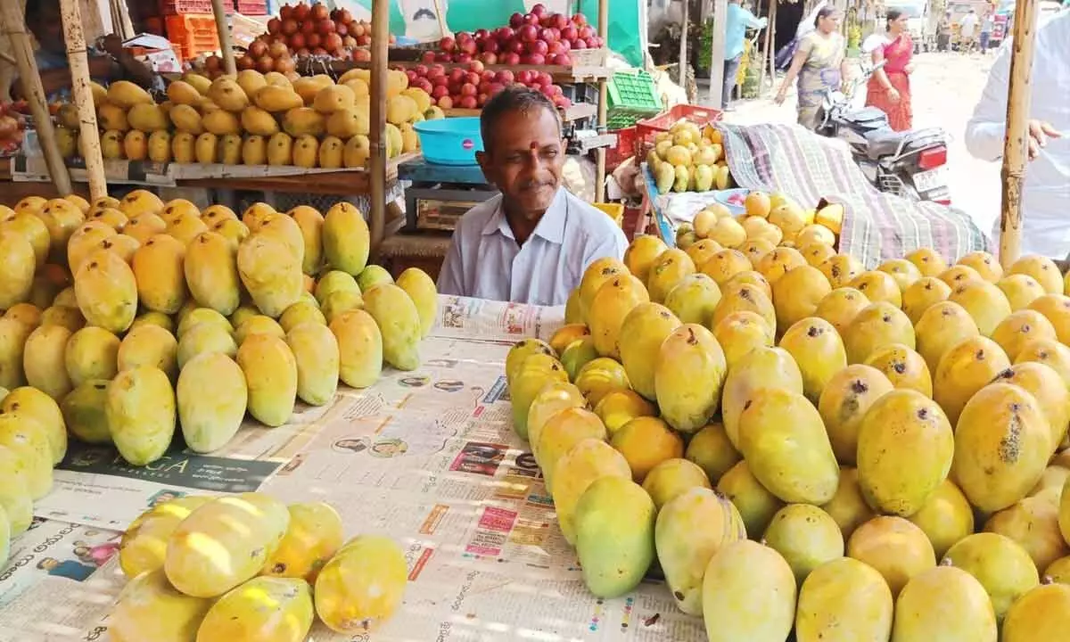 Mangoes for sale at wholesale fruit market in Guntur on Sunday