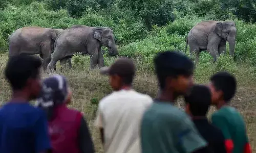 For representational purpose