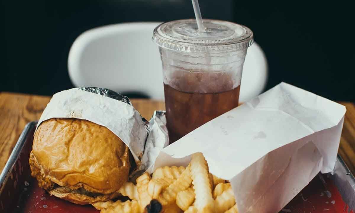 Unclean fuel, fastfood behind heart diseases IIT Mandi