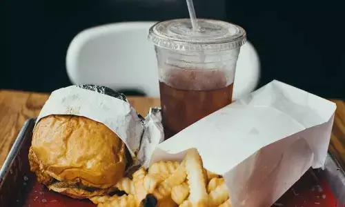 Unclean fuel, fast-food behind heart diseases: IIT Mandi