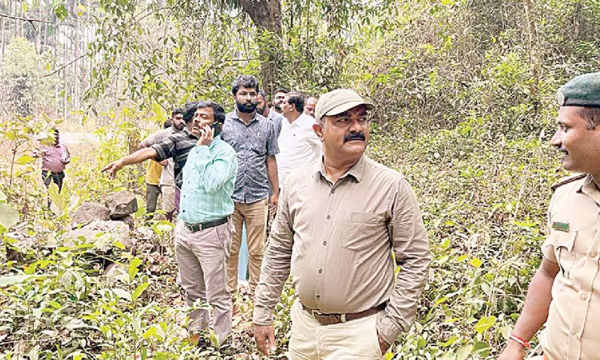 Forest department and NHAI undertake site visit