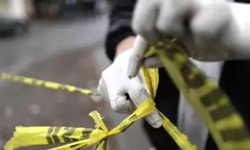 For representational purpose