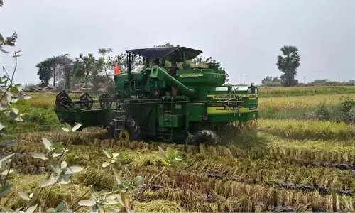 Miryalguda: Delight for paddy farmers as yield reaps benefits more than MSP