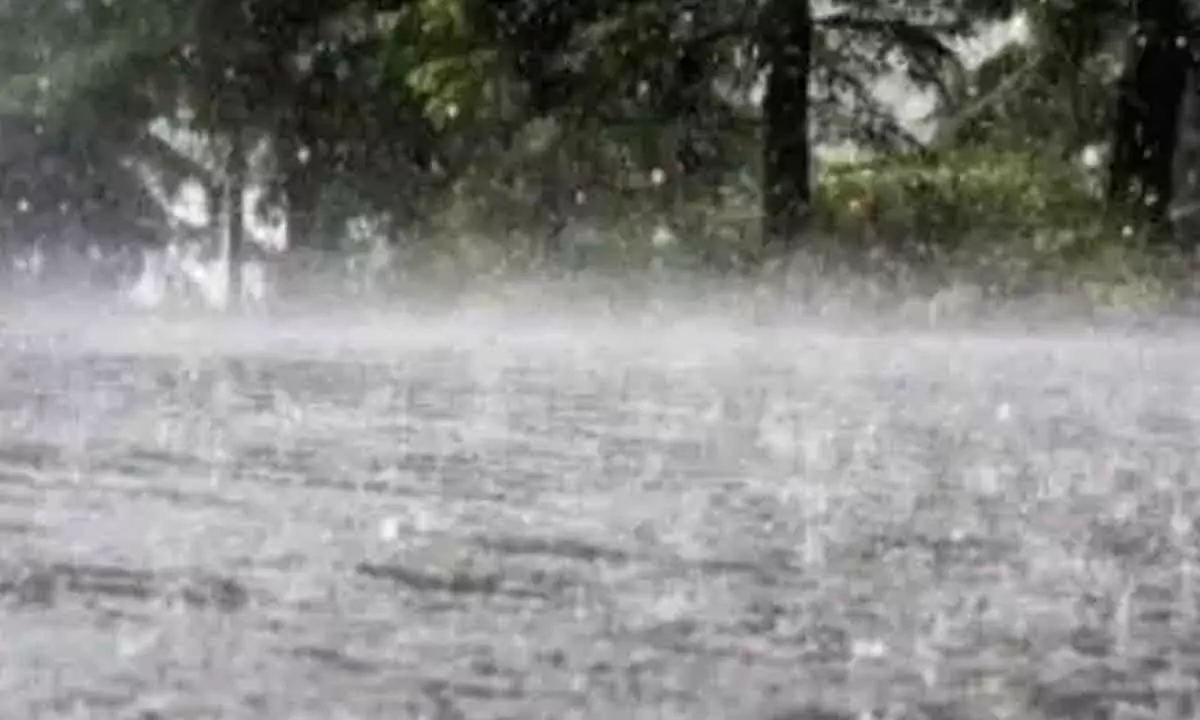 AP State records 301% excess rainfall in March