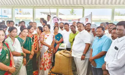 Karimnagar: MLA Sathish Kumar inaugurates sunflower procurement centre