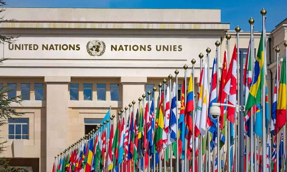 India elected to UN Statistical Commission, other key UN bodies