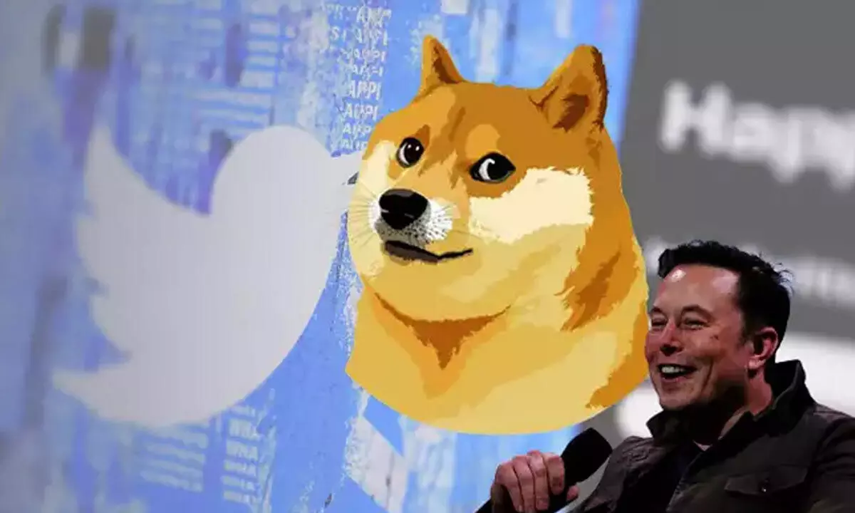 Why Elon Musk changed the Twitter bird logo to Doge?