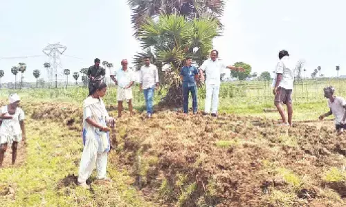 Deputy CM Mutyala Naidu inspects MGNREGS works