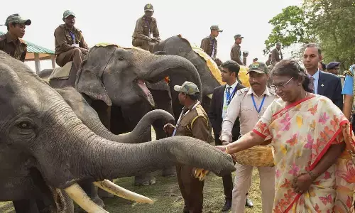 President Droupadi Murmu during the inauguration of the Gaj Utsav-2023 at the Kaziranga National Park, in Golaghat on Friday